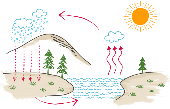 land of rice images