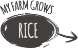 my farm grows rice