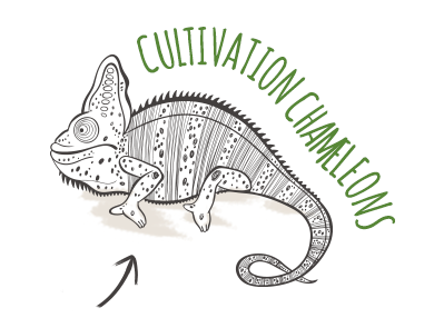 cultivation chameleons