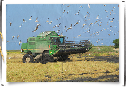 img_farm01