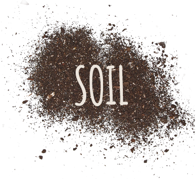 soil