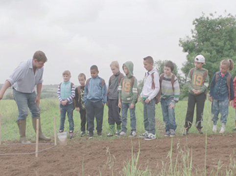 Little farmers