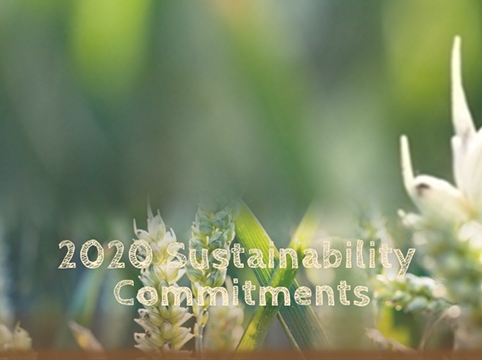 2020 sustainability commitments
